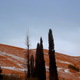 Illustration for article titled Photos of Freak Snowfall in the Sahara Look Unrealem/em